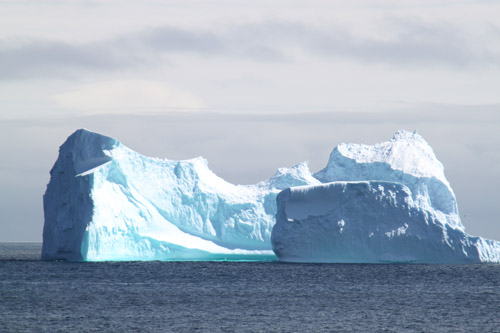 南極半島