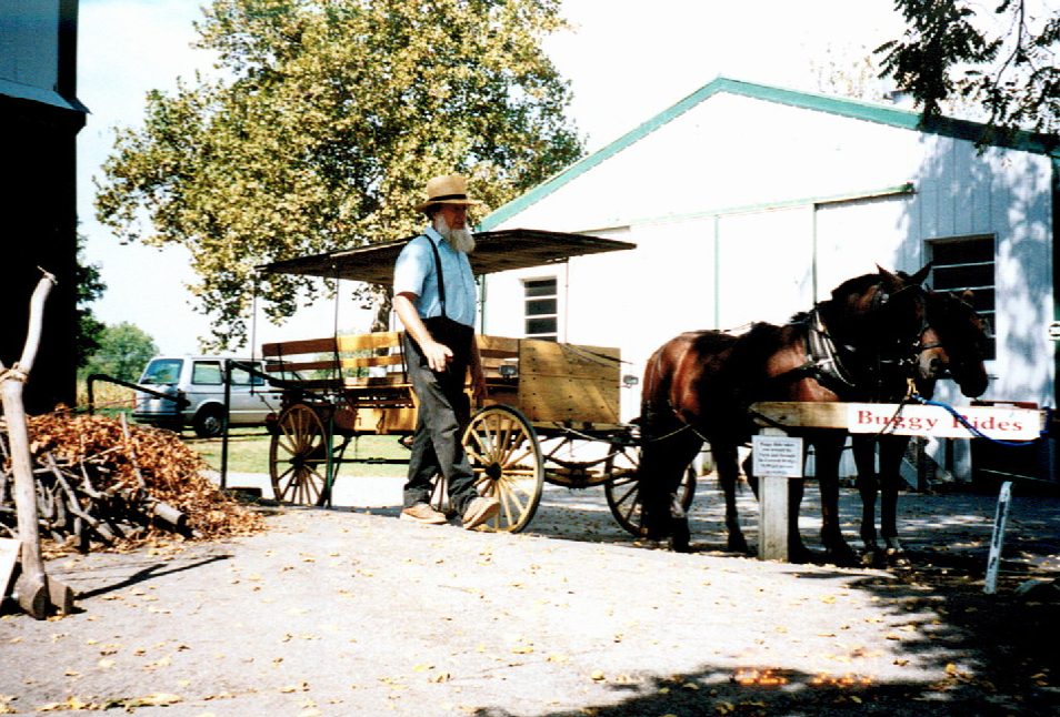 amish2002-24